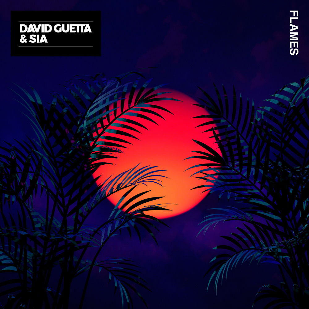 FLAMES by David Guetta Ft Sia
