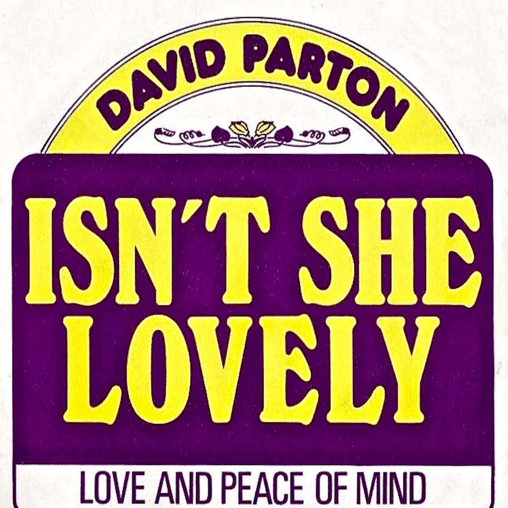 Isn'T She Lovely by David Parton