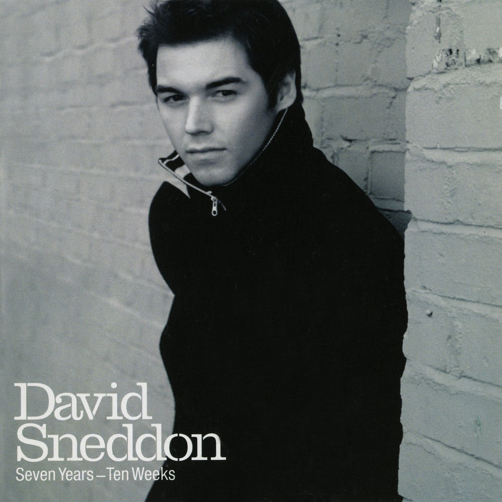 Stop Living The Lie by David Sneddon