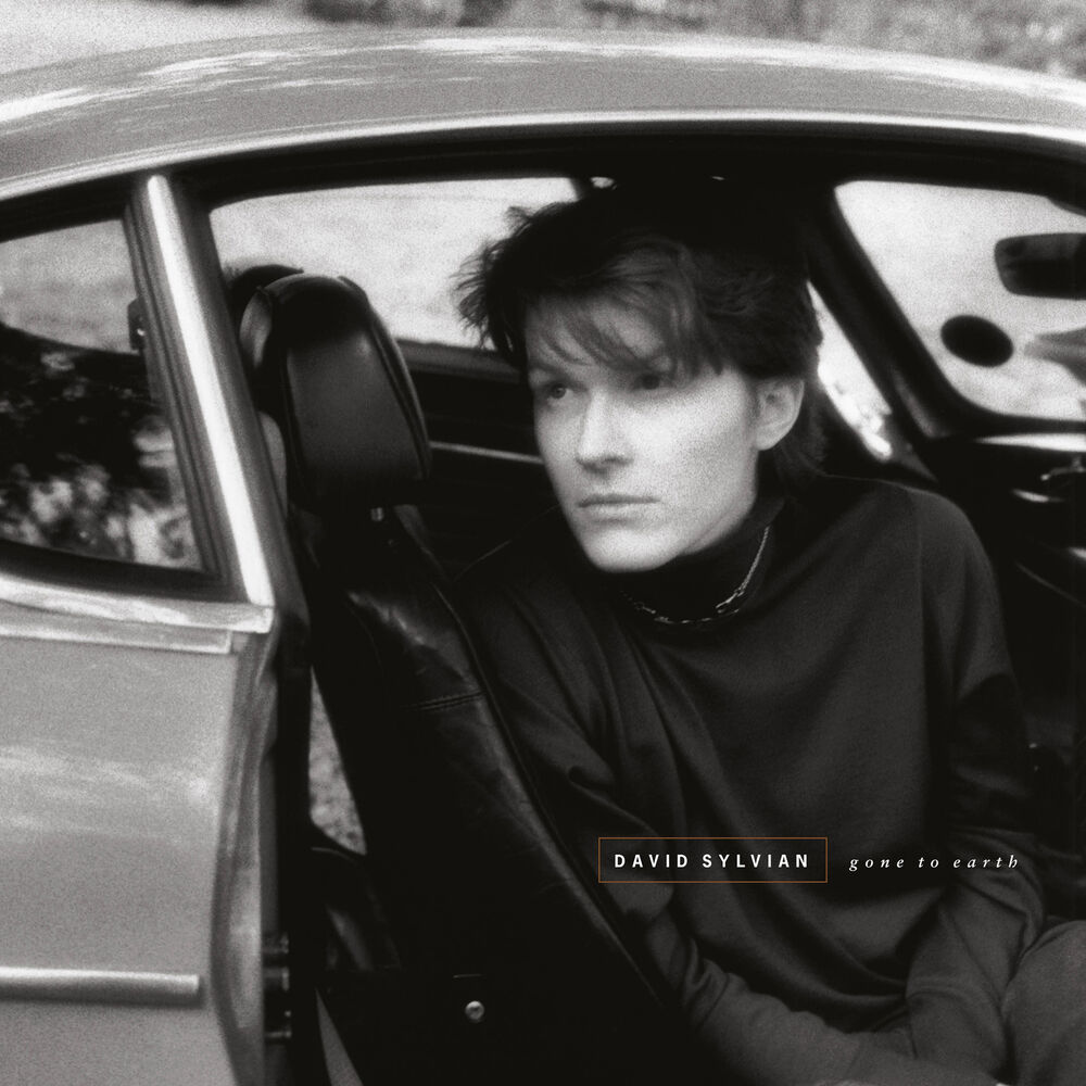 Taking The Veil by David Sylvian