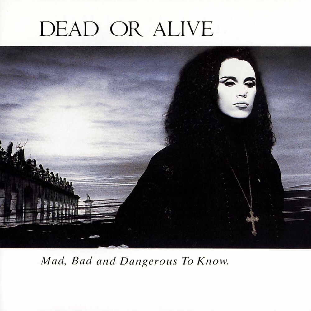 Brand New Lover by Dead Or Alive