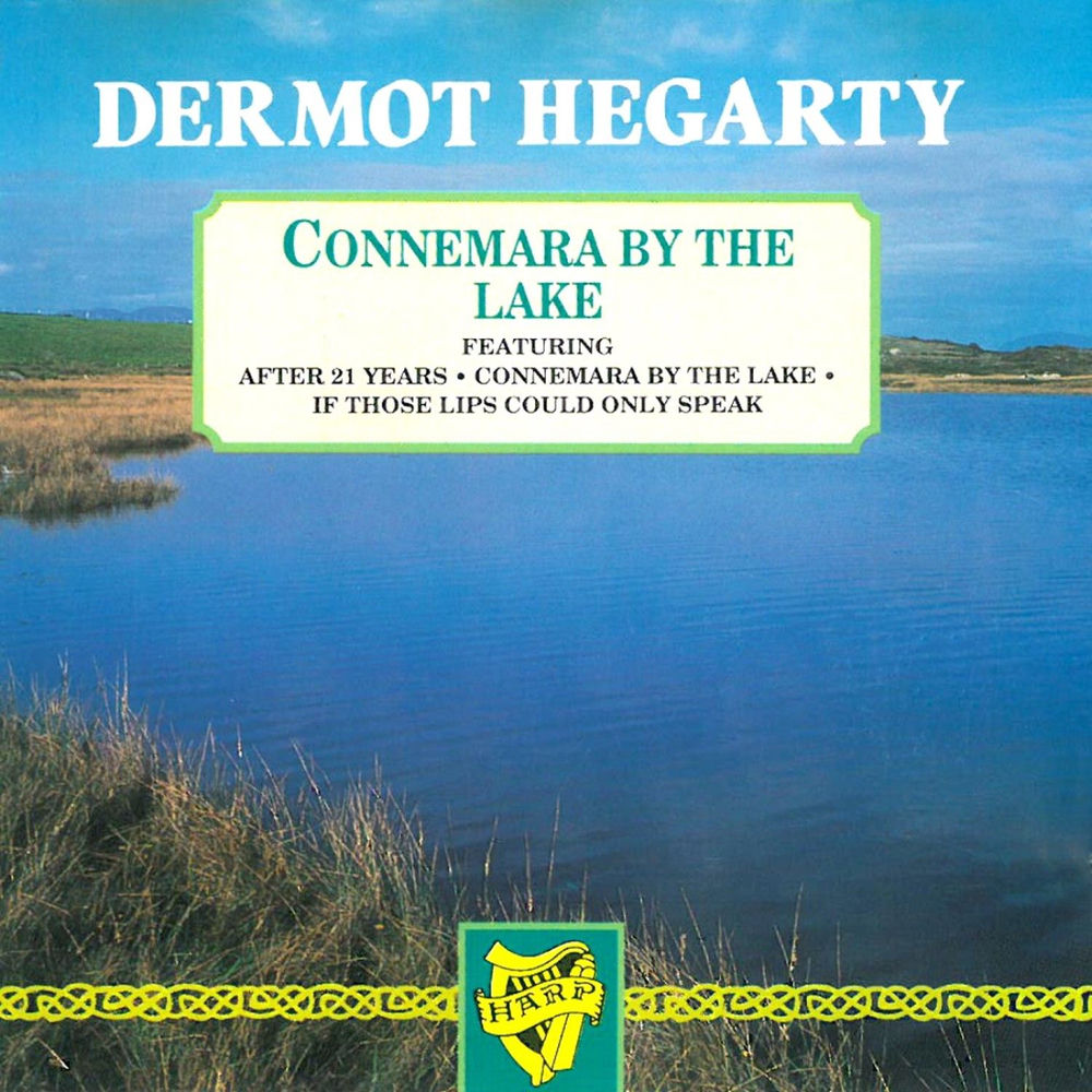 After 21 Years by Dermot Hegarty