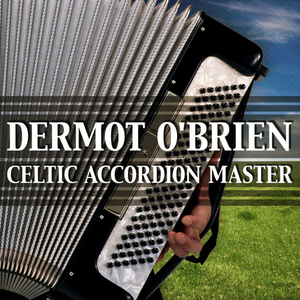 Home Boys Home by Dermot O'Brien