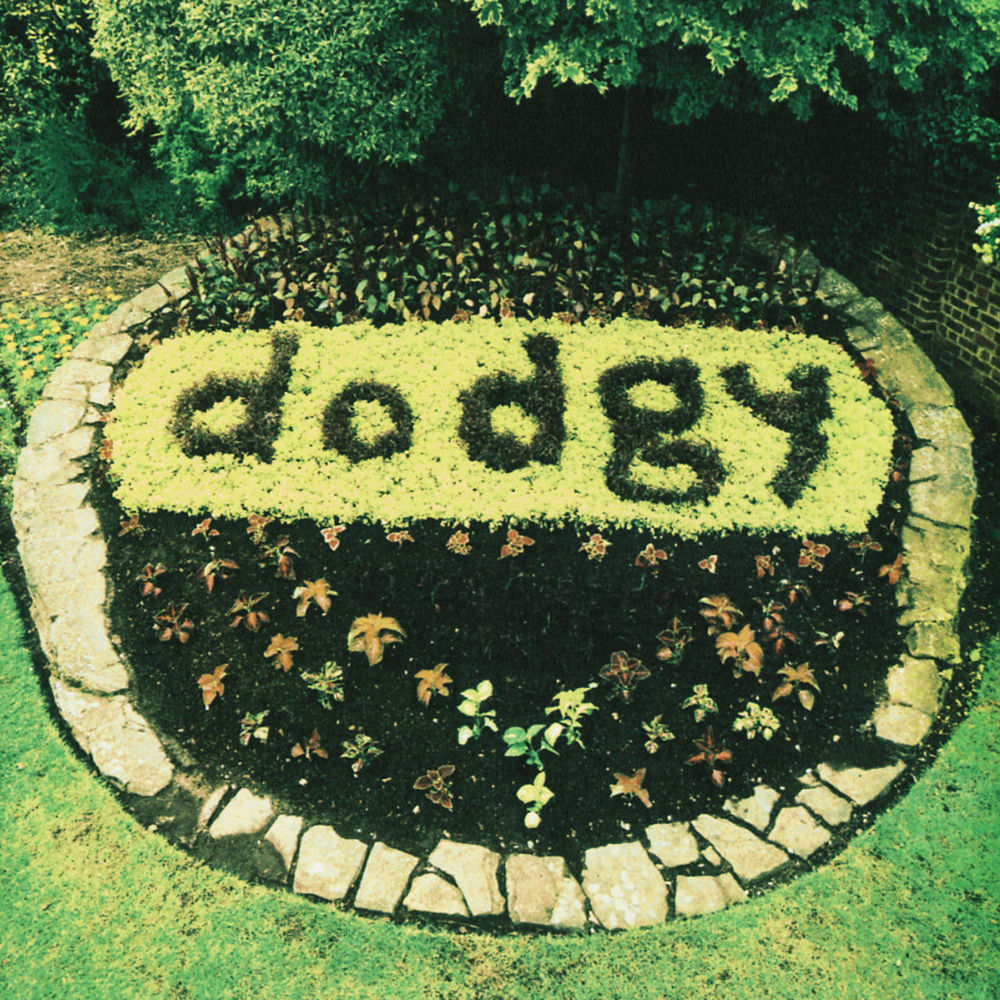 Good Enough by Dodgy