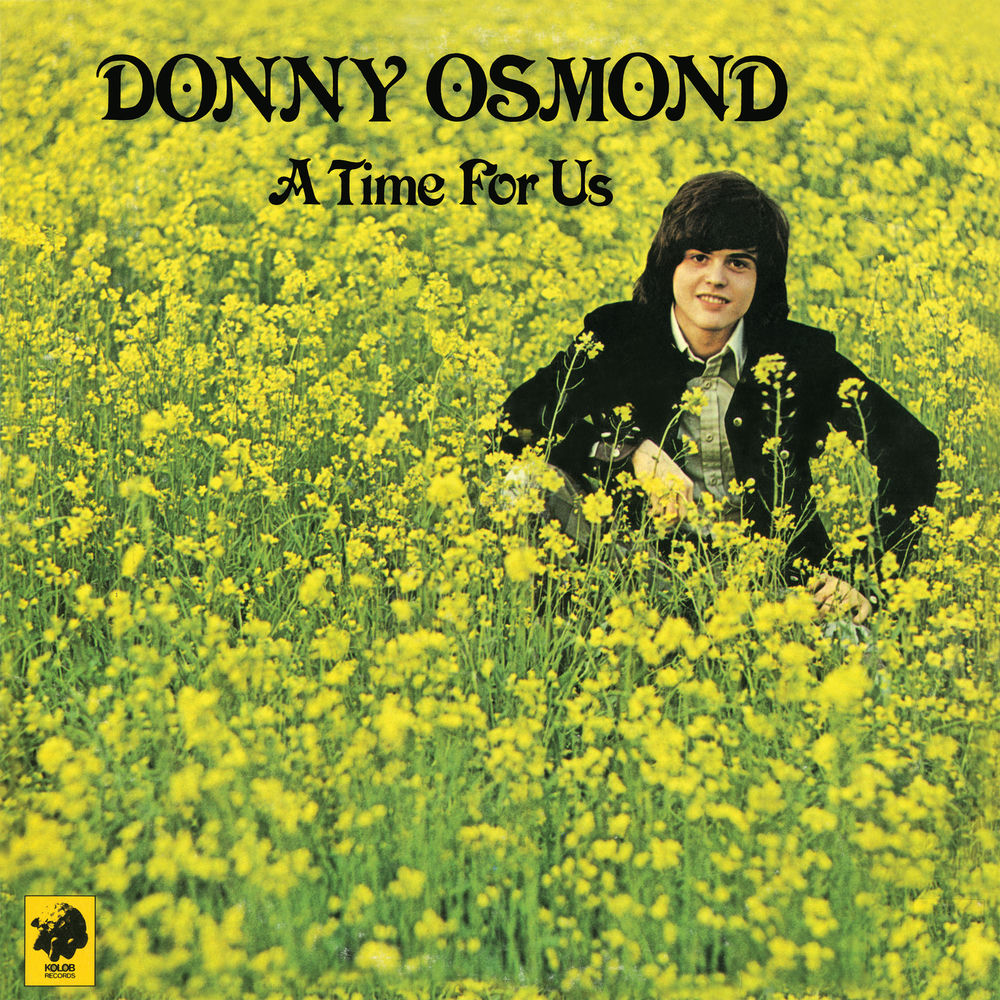 When I Fall In Love by Donny Osmond