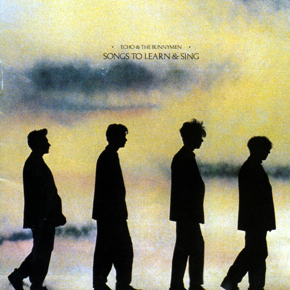 Bring On The Dancing Horses by Echo And The Bunnymen