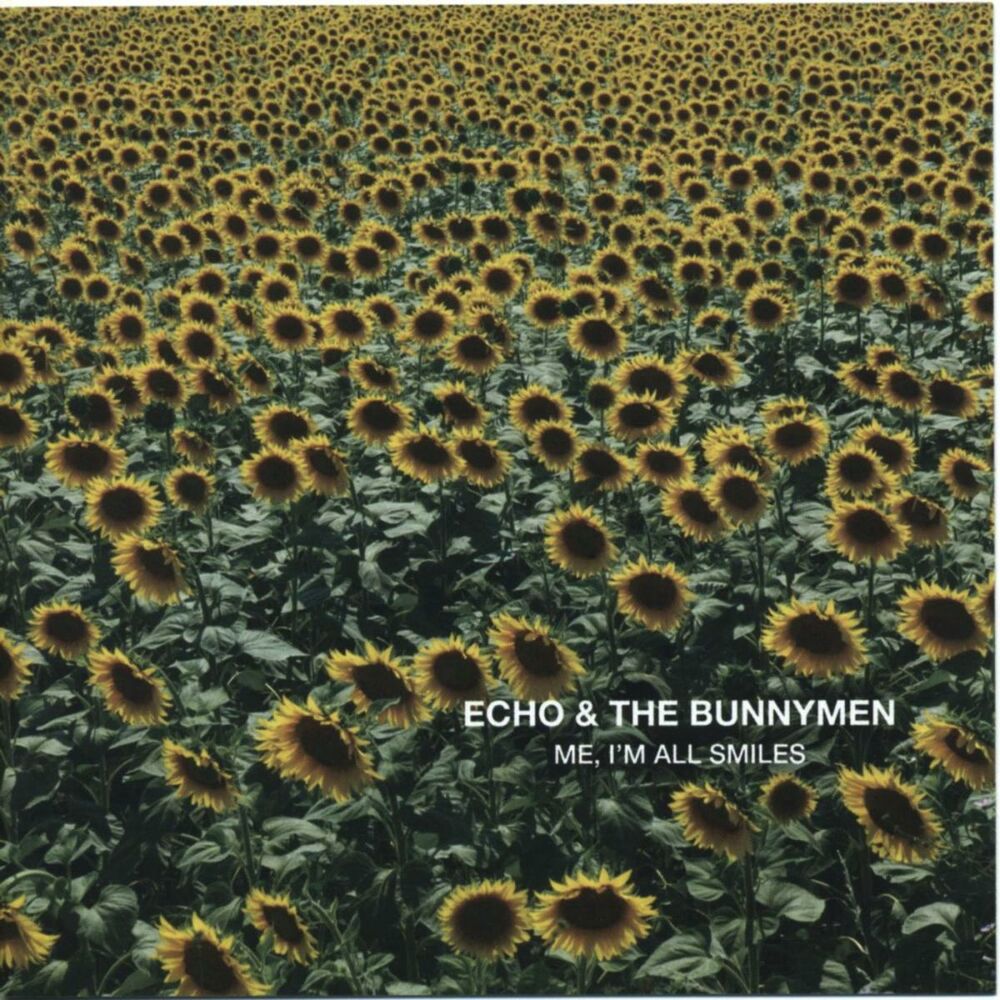 The Back Of Love by Echo And The Bunnymen
