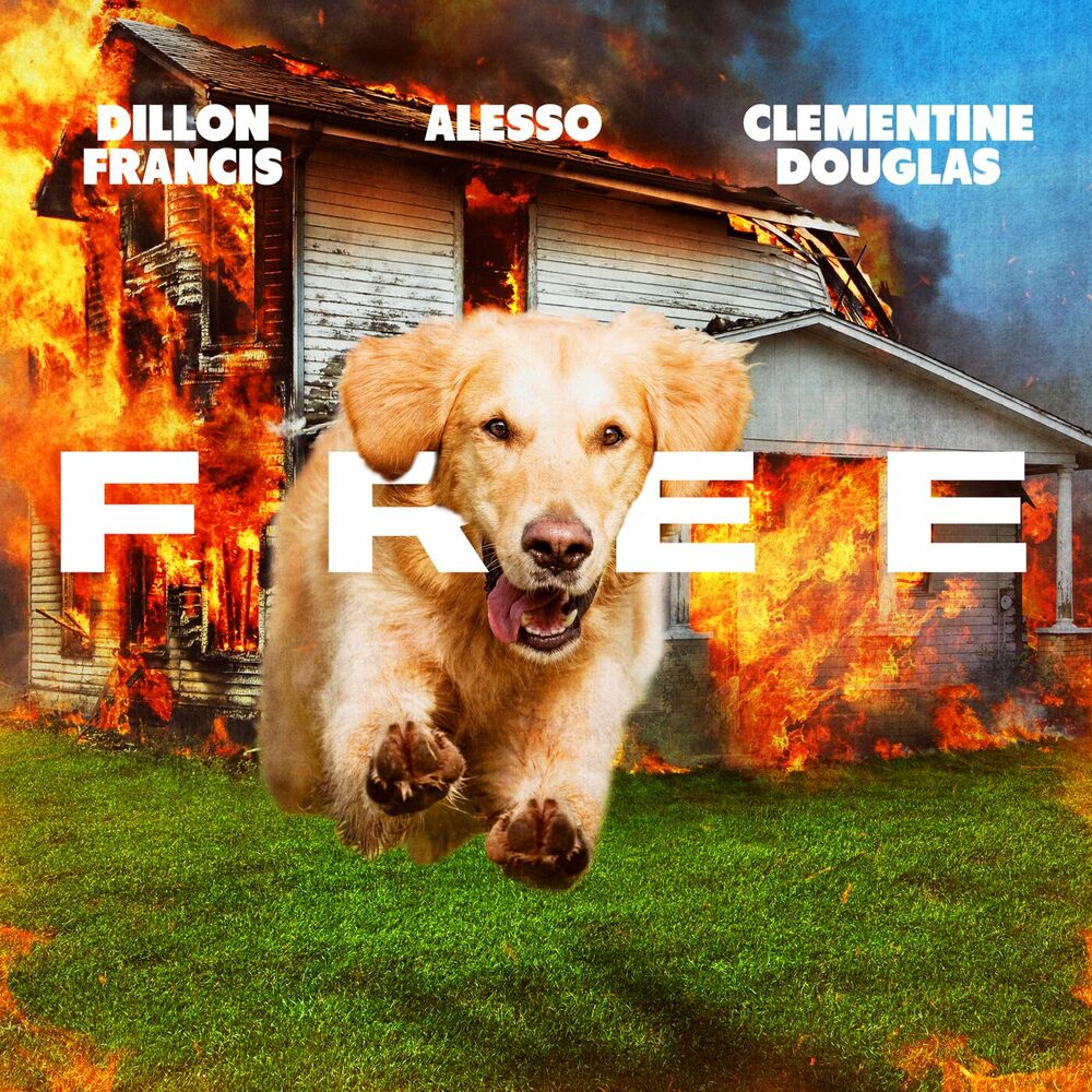 FREE by Frantic