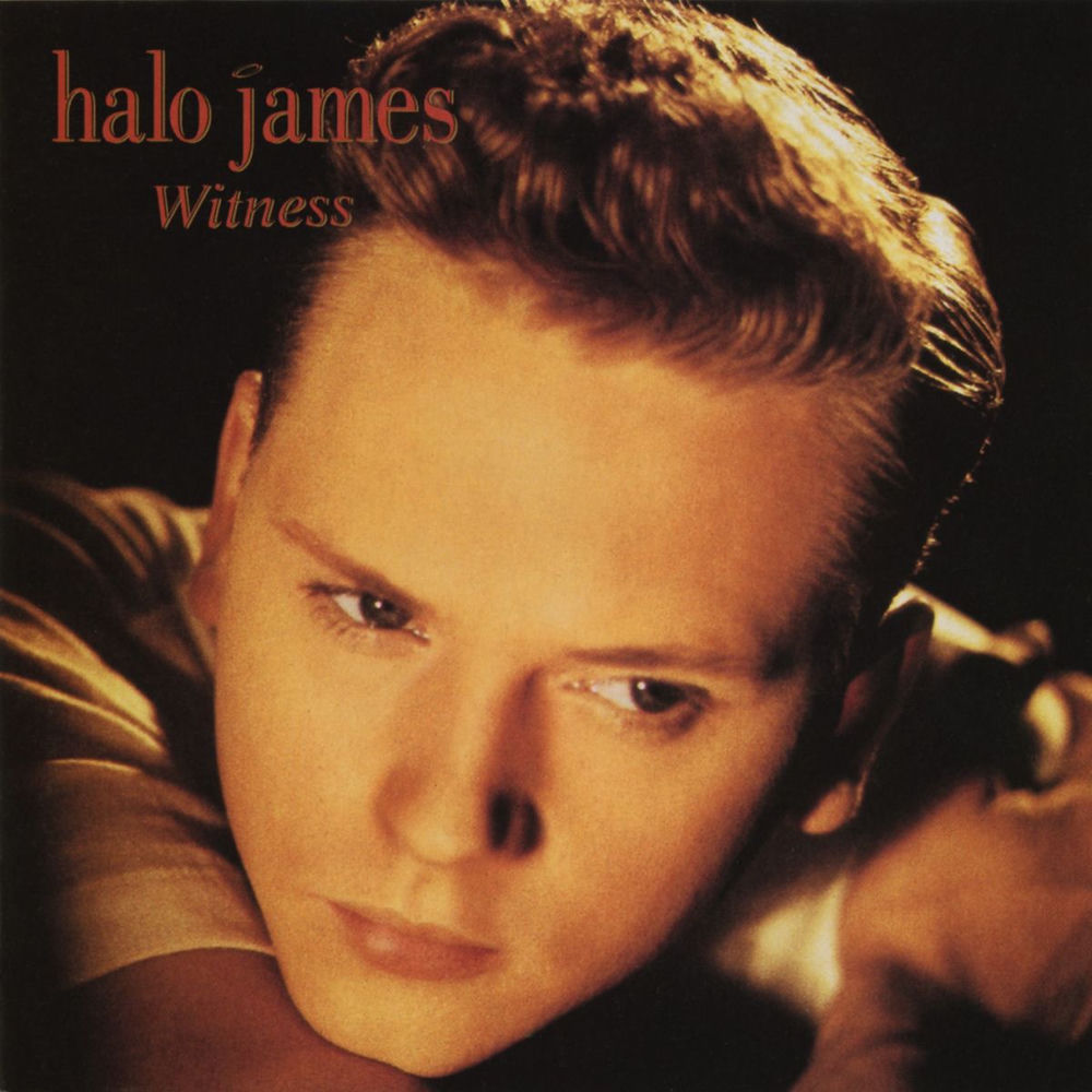 Could Have Told You So by Halo James