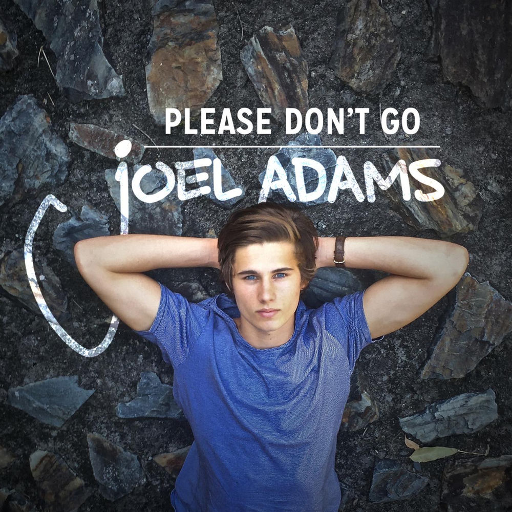 PLEASE DON'T GO by JOEL ADAMS
