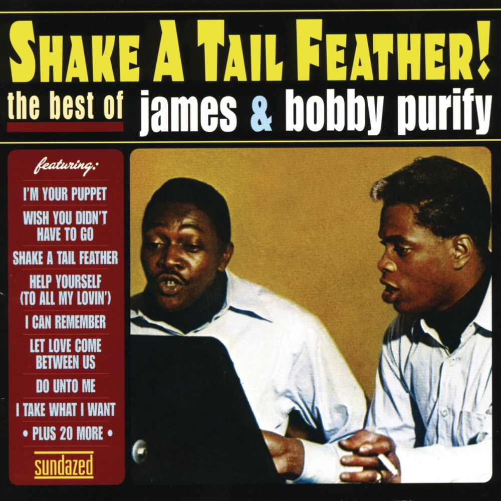 I'M Your Puppet by James And Bobby Purify