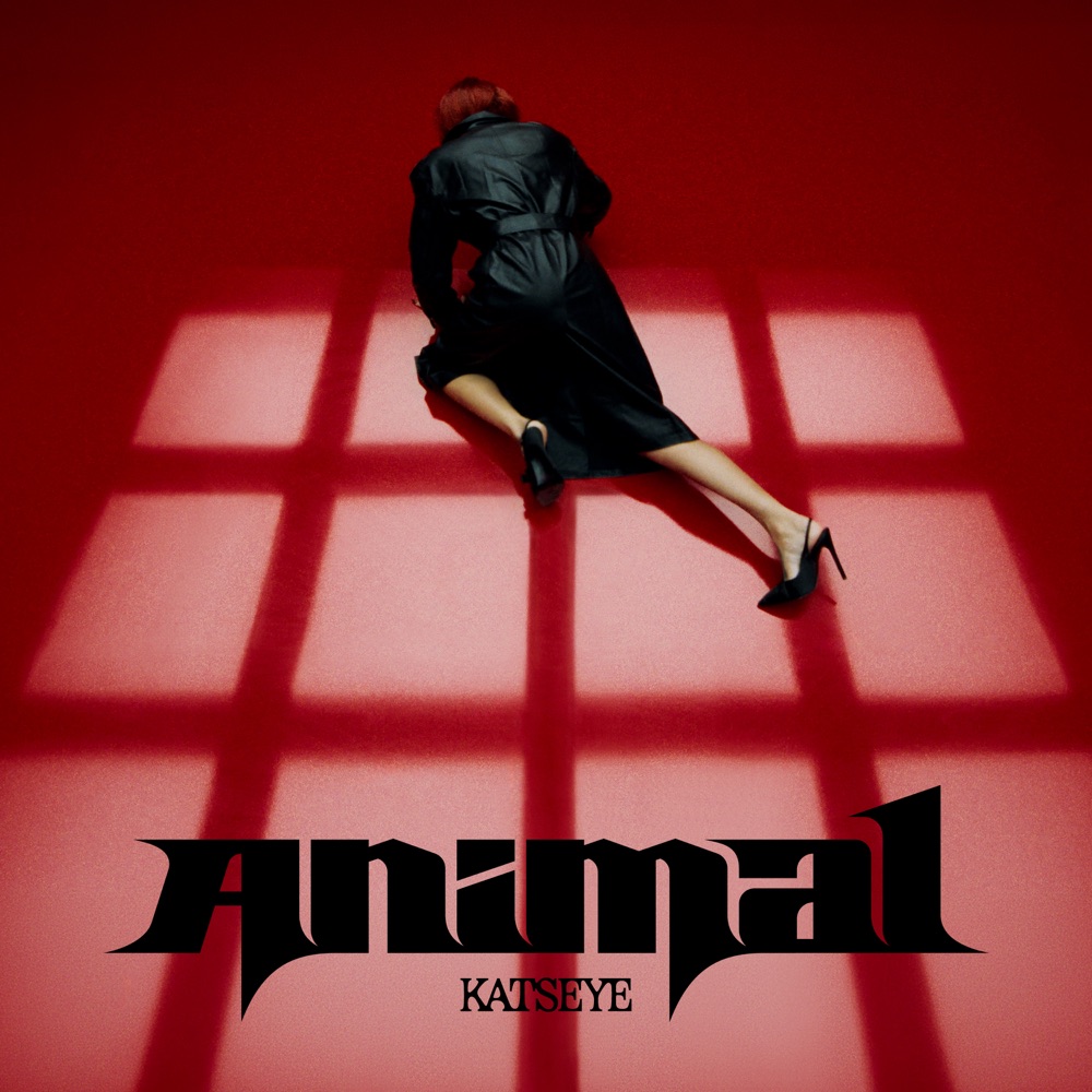 ANIMAL by KATSEYE
