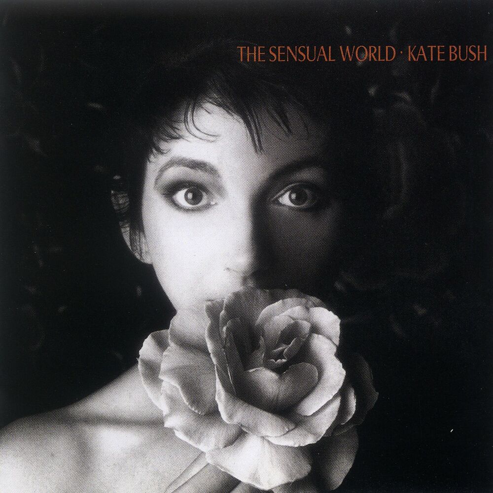 This Woman'S Work by Kate Bush