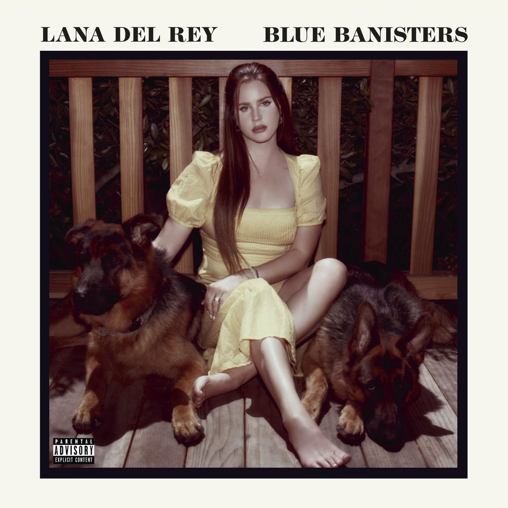 DEALER by LANA DEL REY