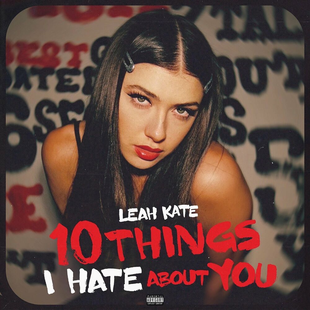 10 THINGS I HATE ABOUT YOU by LEAH KATE