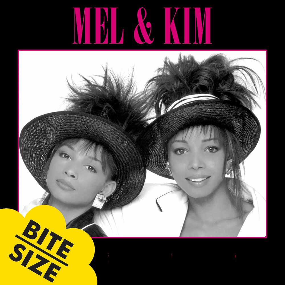 Respectable by Mel And Kim