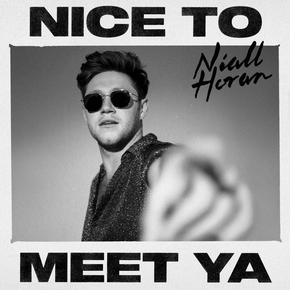 NICE TO MEET YA by Niall Horan
