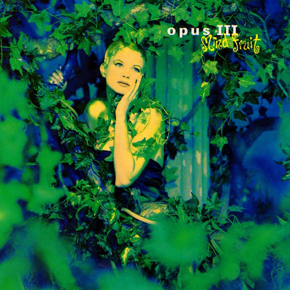 It'S A Fine Day by Opus 111