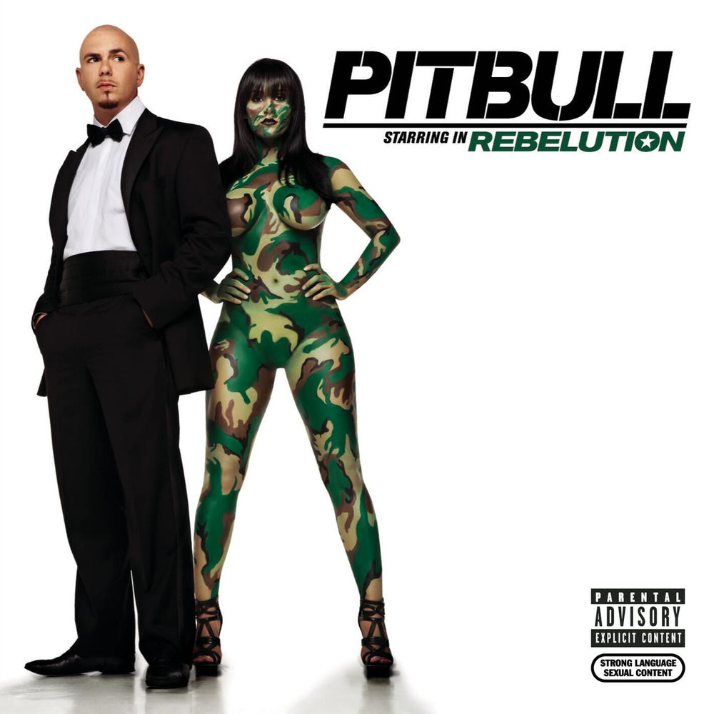 SHUT IT DOWN by Pitbull featuring Akon