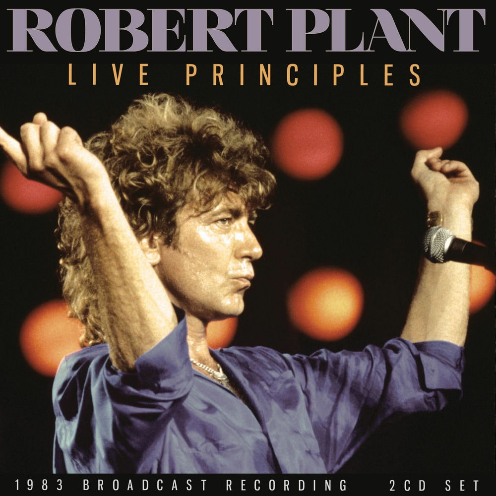 Big Log by Robert Plant