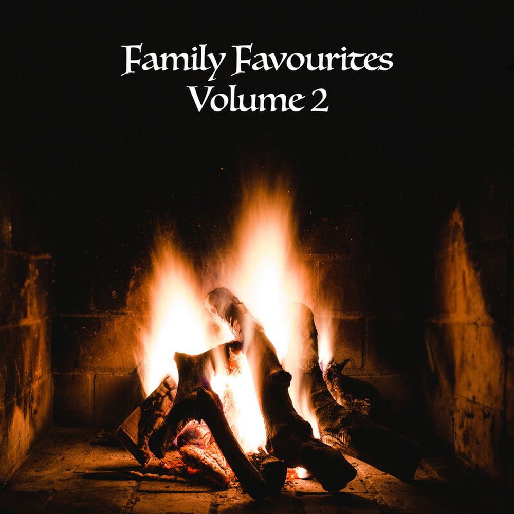 Like Strangers by Roly Daniels And Ann Williamson