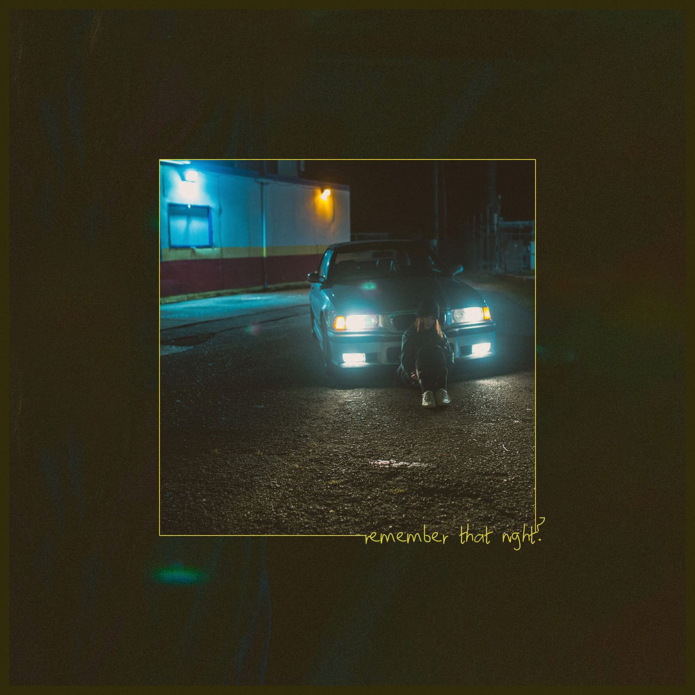REMEMBER THAT NIGHT by SARA KAYS
