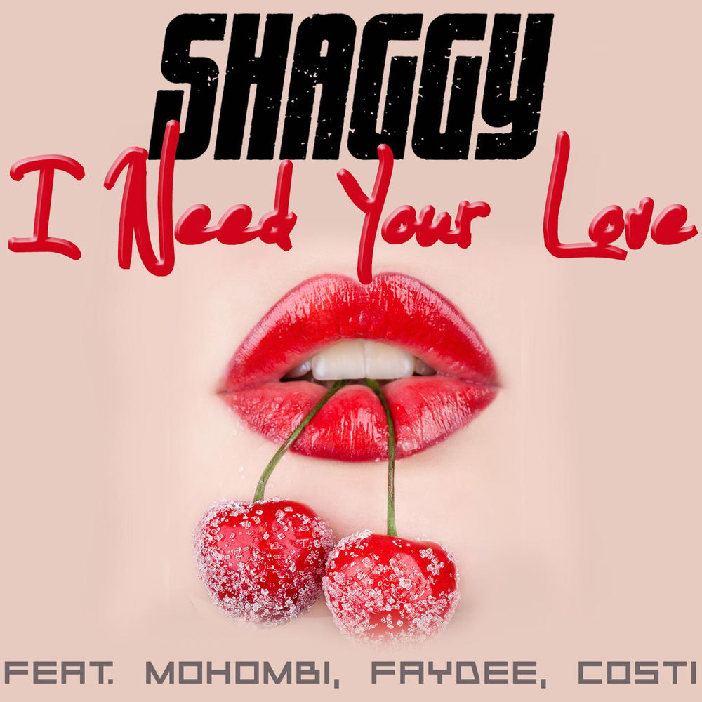 I NEED YOUR LOVE by SHAGGY