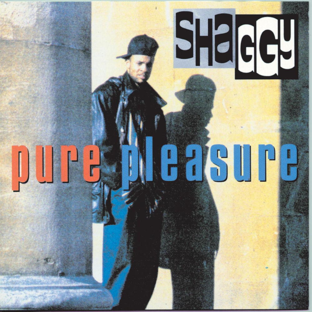 Soon Be Done by Shaggy