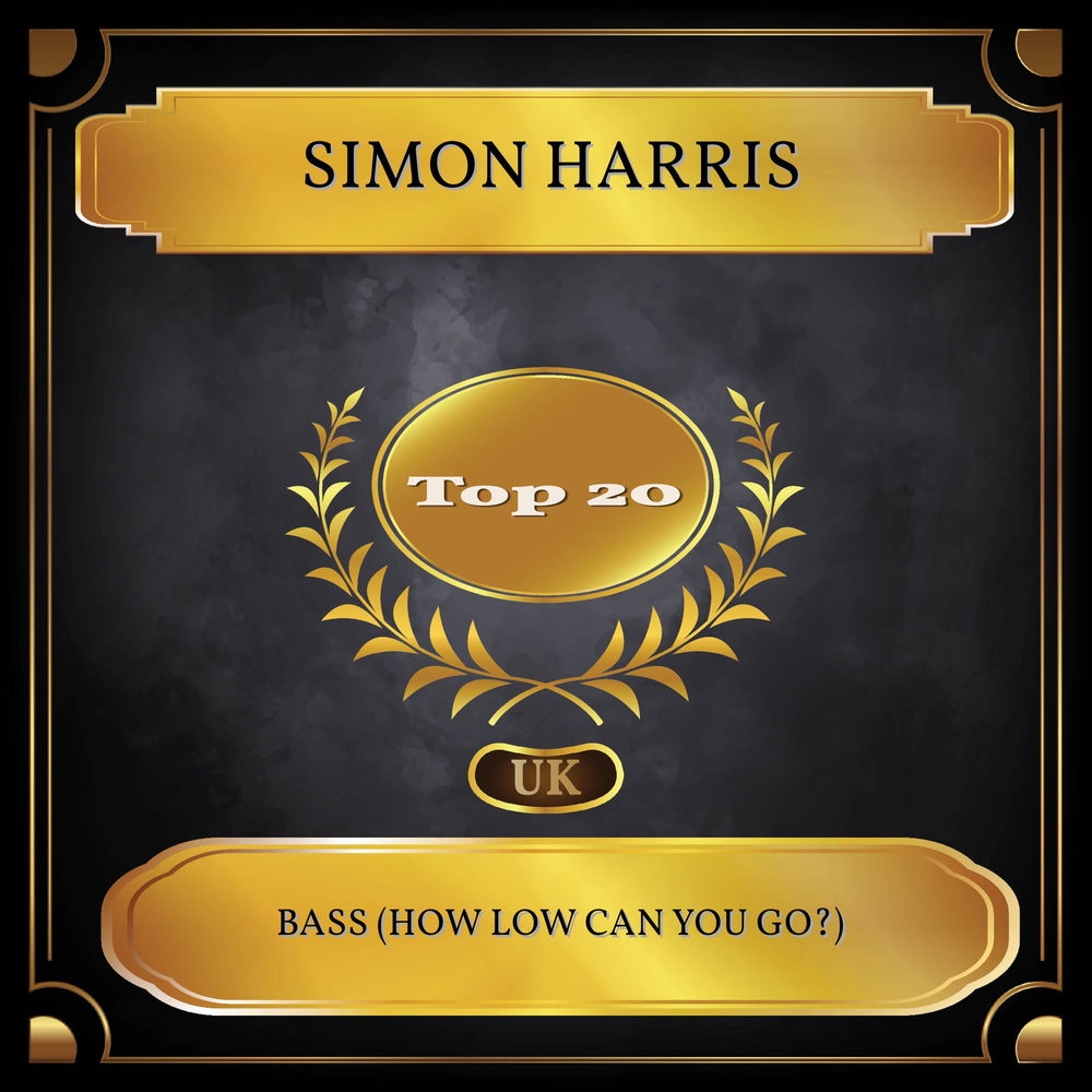 Bass (How Low Can You Go) by Simon Harris