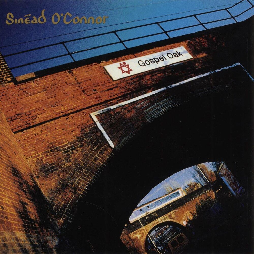 This Is A Rebel Song by Sinead O'Connor