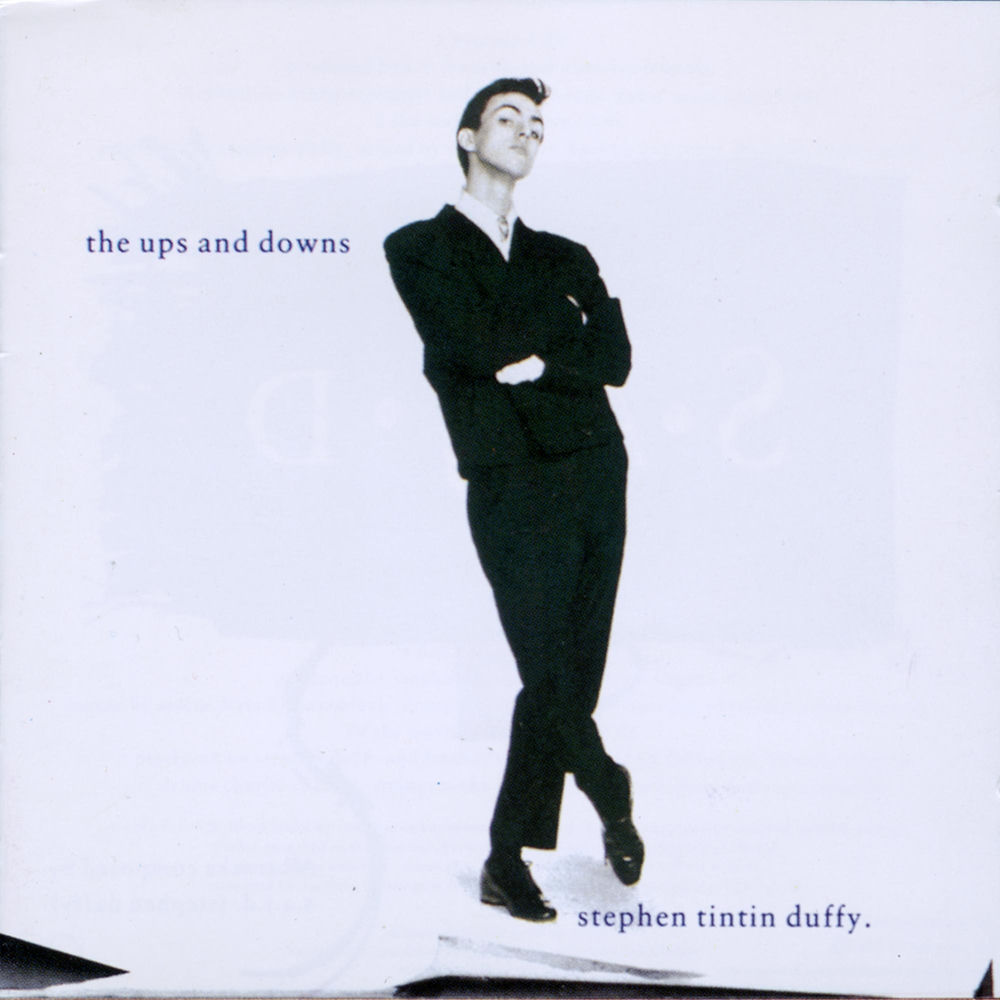 Icing On The Cake by Stephen Duffy