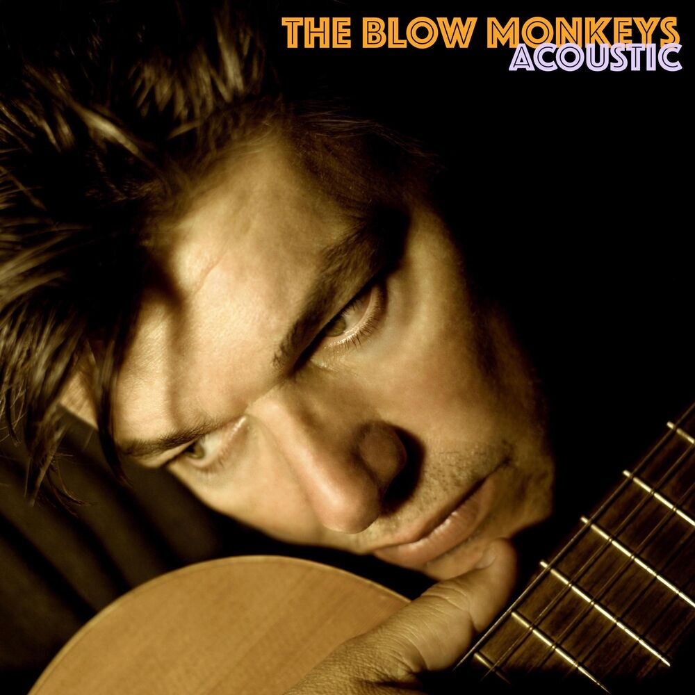 Choice by The Blow Monkeys