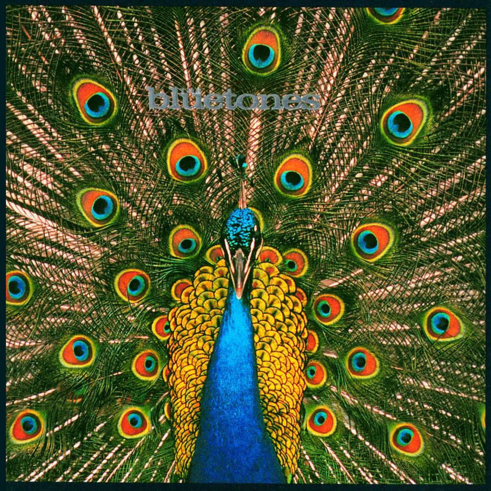 Slight Return by The Bluetones
