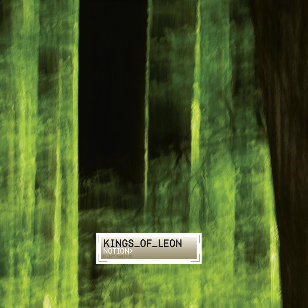 The Bucket by The Kings Of Leon