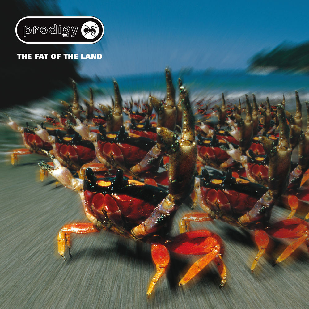 Smack My Bitch Up by The Prodigy