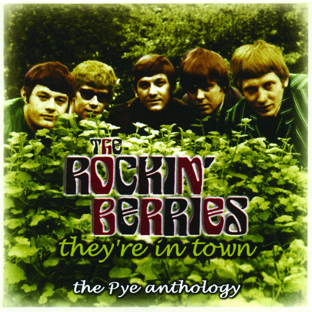 He'S In Town by The Rockin' Berries