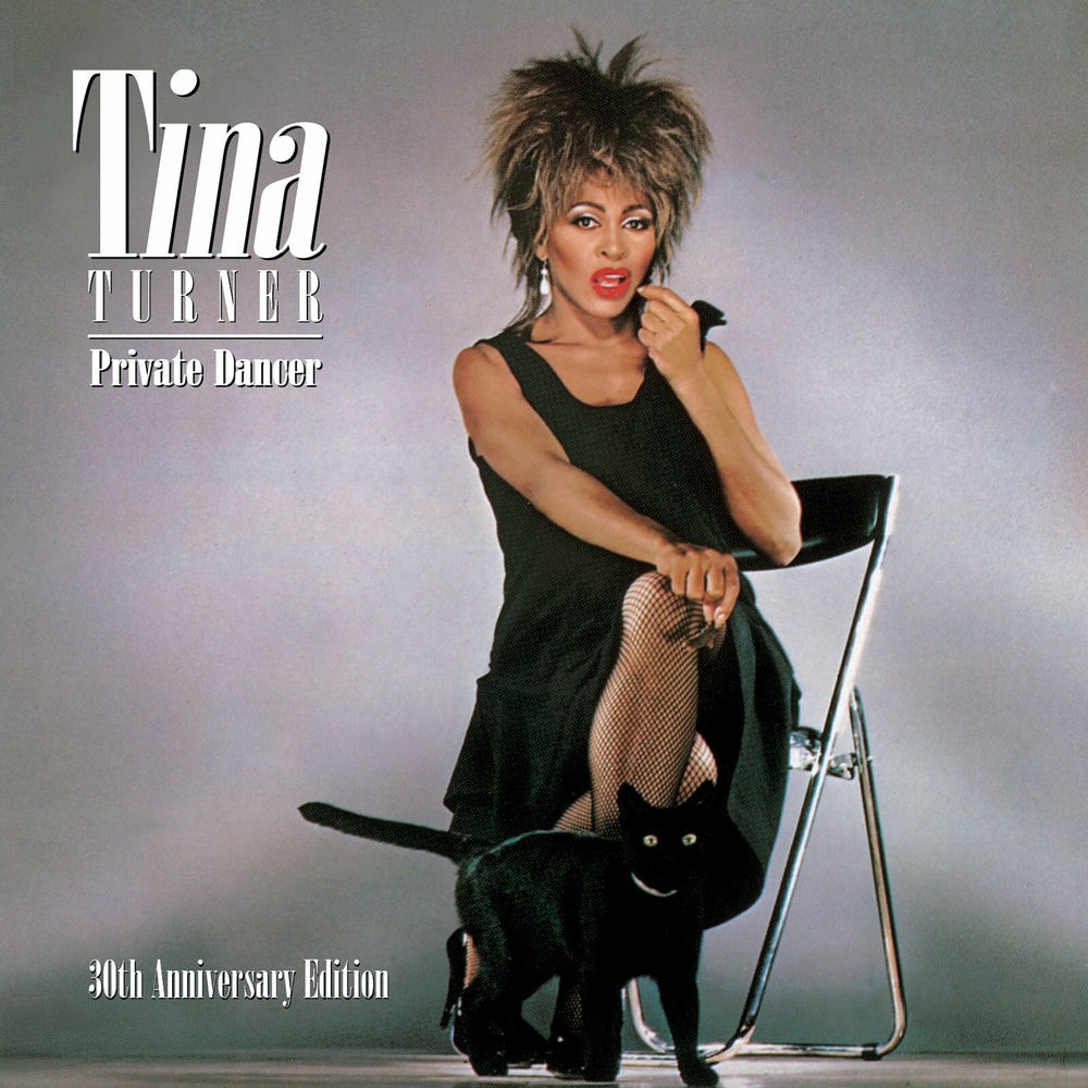 One Of The Living by Tina Turner