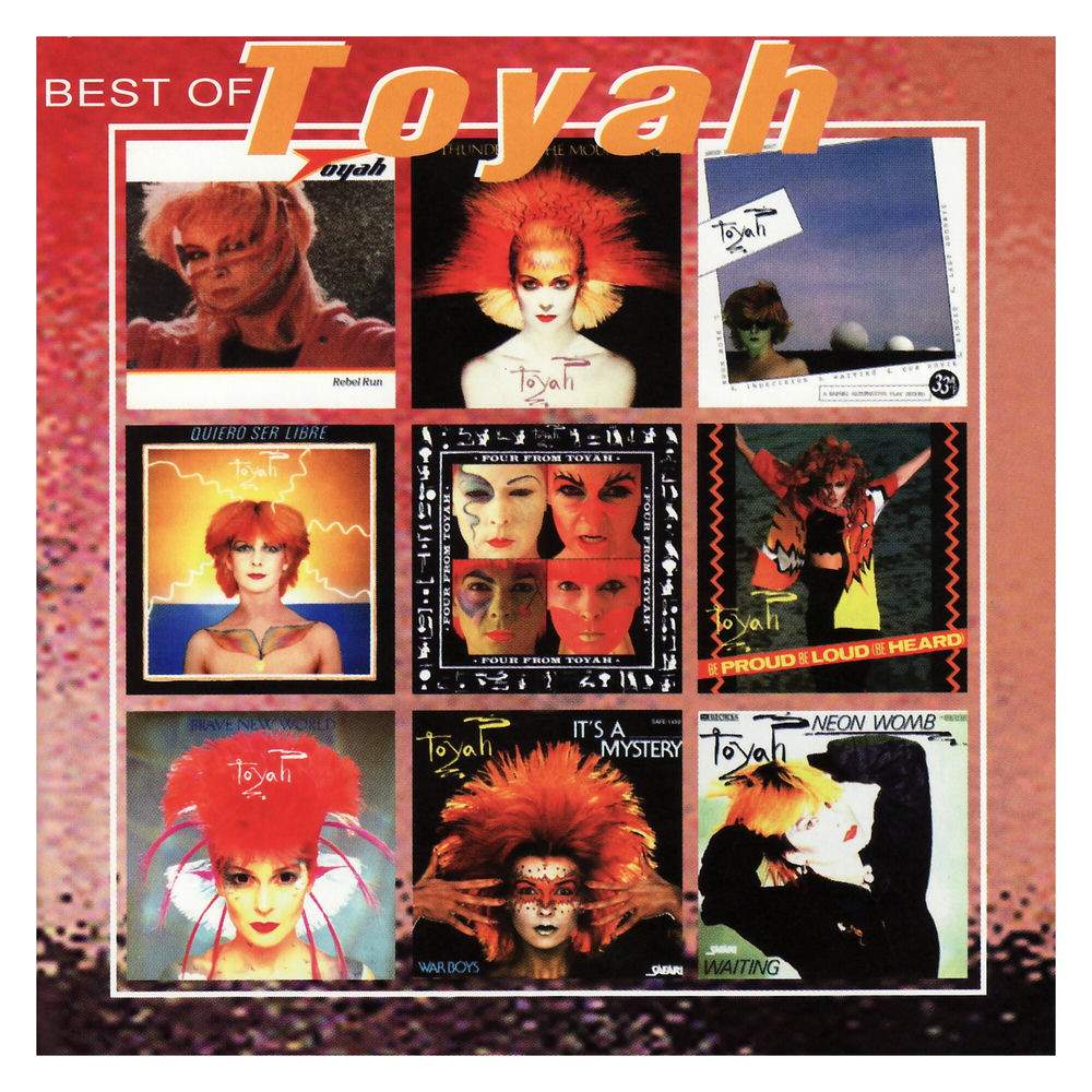 Thunder In The Mountains by Toyah