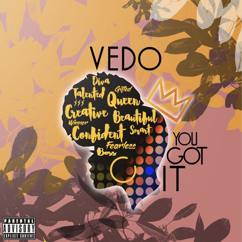 YOU GOT IT by VEDO